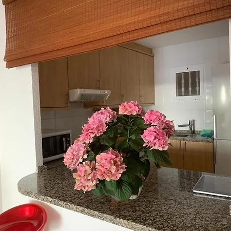 Apartamento En Roque Del Conde Costa Adeje (Tenerife)